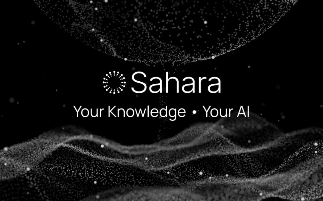 顶级加密VC加持 融资4300万美元的SaharaAI有何不一样?